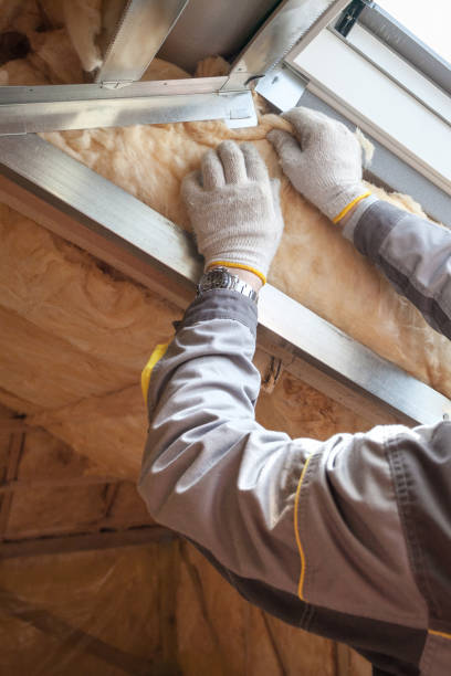 Best Spray Foam Insulation  in Edwards, MS
